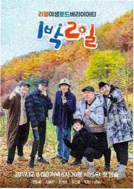 花海歌会 综艺 2026